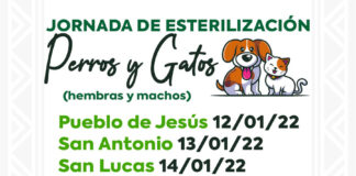 Emprende Ayuntamiento de Huamantla y SESA Jornada de Esterilización Para Perros y Gatos - AlternativaTlx
