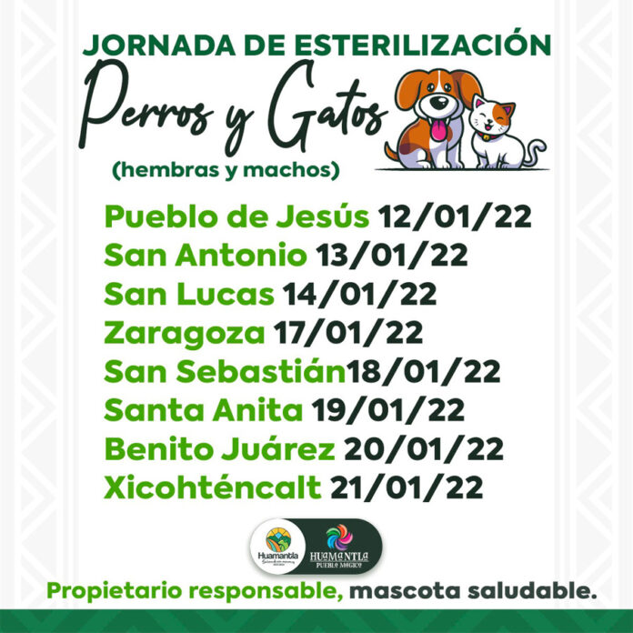 Emprende Ayuntamiento de Huamantla y SESA Jornada de Esterilización Para Perros y Gatos - AlternativaTlx