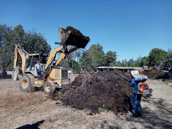 Fomenta SEFOA la Transición de Agricultura Tradicional a Orgánica - AlternativaTlx