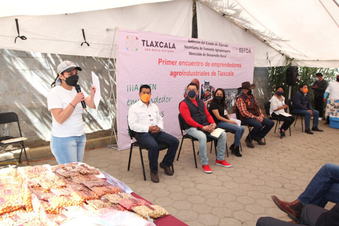 Fortalece SEFOA el Emprendimiento y la Generación de Empresas Rurales - AlternativaTlx