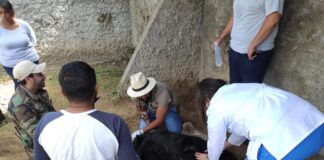 SMA Garantiza Medidas de Atención a Ejemplares del Zoológico del Altiplano - AlternativaTlx