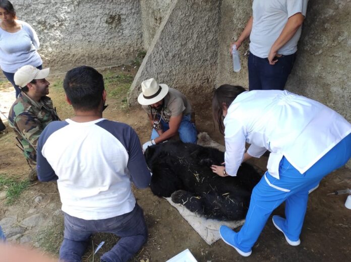 SMA Garantiza Medidas de Atención a Ejemplares del Zoológico del Altiplano - AlternativaTlx