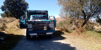 SSC Aseguró Dos Tractocamiones con Material Forestal - AlternativaTlx