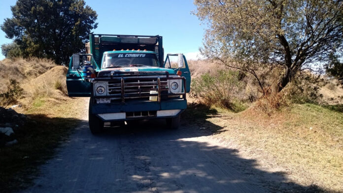 SSC Aseguró Dos Tractocamiones con Material Forestal - AlternativaTlx