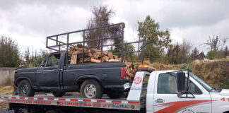 Aseguró SSC una Camioneta con Material Forestal en la Malinche - AlternativaTlx