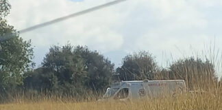 Investiga PGJE Hallazgo de Cadáver en San Pablo del Monte - AlternativaTlx