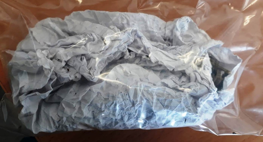 La SSC Detiene en Totolac a Sujeto por Posesión de Marihuana - AlternativaTlx