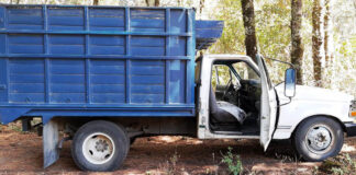 SSC Aseguró Material Forestal en el Parque Nacional la Malinche - AlternativaTlx