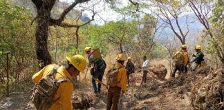 435 Elementos de los Tres Ordenes de Gobierno Trabajan para Liquidar un Incendio Forestal en Tepoztlán, Morelos - AlternativaTlx