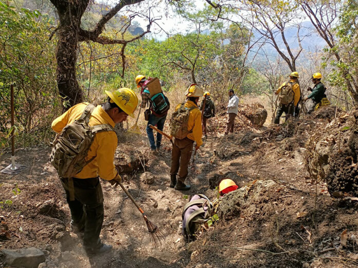 435 Elementos de los Tres Ordenes de Gobierno Trabajan para Liquidar un Incendio Forestal en Tepoztlán, Morelos - AlternativaTlx 435 Elementos de los Tres Ordenes de Gobierno Trabajan para Liquidar un Incendio Forestal en Tepoztlán, Morelos - AlternativaTlx