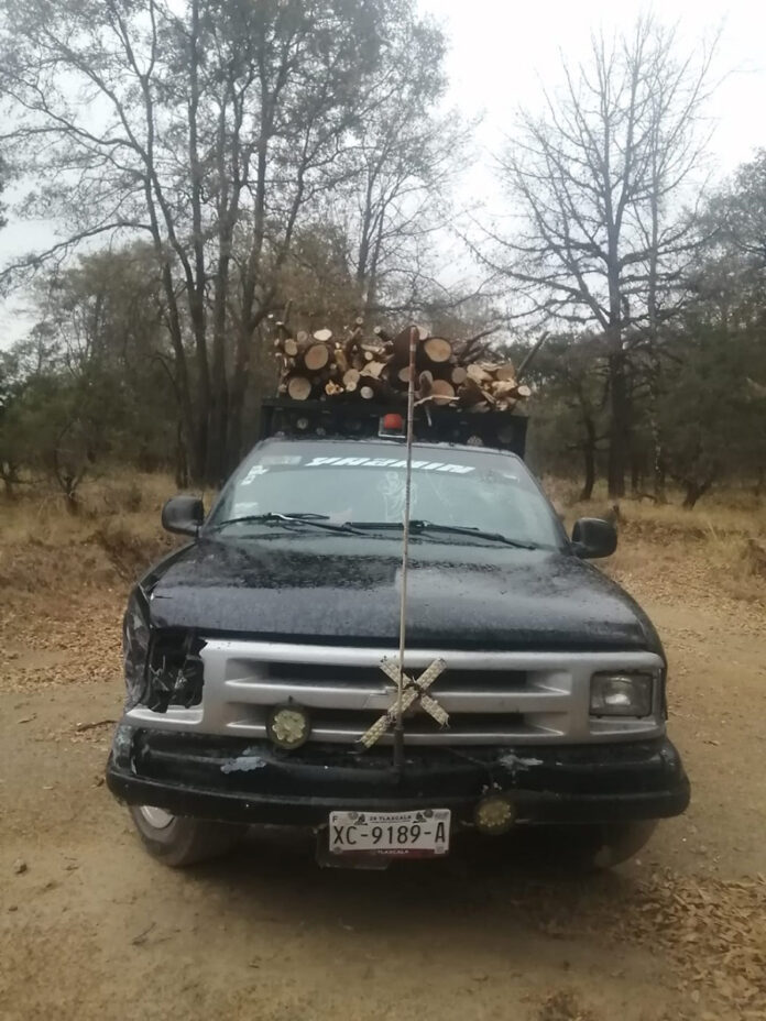 Aseguró SSC una Camioneta con Material Forestal en la Malinche - AlternativaTlx