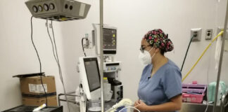 Atenderá IMSS Tlaxcala Servicio de Urgencias y Hospitalización este Lunes 21 de Marzo - AlternativaTlx