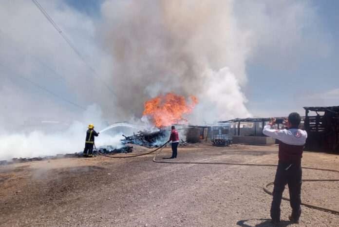 Bomberos Extingue Incendio de Pastizal en el Municipio de Sanctórum - AlternativaTlx