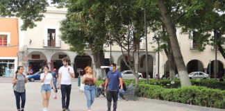 Conmemorarán en Tlaxcala Día Internacional de la Mujer con 16 Días de Activismo - AlternativaTlx