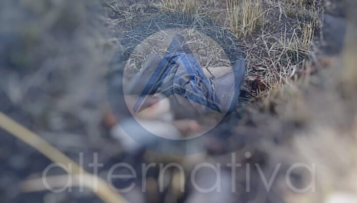 Hallan Restos Humanos en Mazatecochco - AlternativaTlx