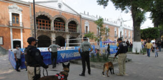 Mantiene SSC Operativo de Seguridad por Tour Mundial de Voleibol en el Primer Cuadro de la Capital - AlternativaTlx
