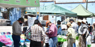 Primer Tianguis de Semilla en Huamantla - AlternativaTlx