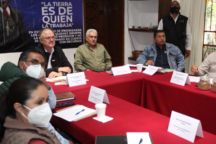 SIA e INIFAP Trabajan para la Producción de Semillas Mejoradas en Tlaxcala - AlternativaTlx