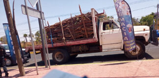 SSC Detuvo a Presunto Responsable de Transporte Ilícito de Recurso Forestal - AlternativaTlx