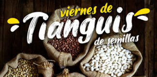Se Realizará en Huamantla el Primer Viernes de Tianguis de Semilla - AlternativaTlx
