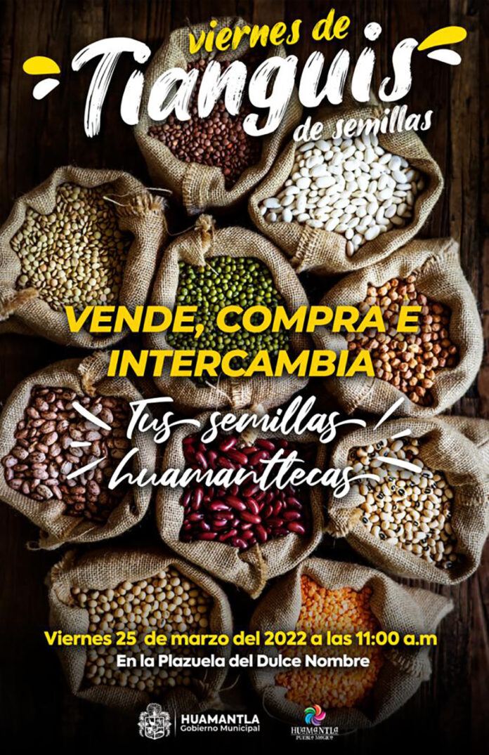 Se Realizará en Huamantla el Primer Viernes de Tianguis de Semilla - AlternativaTlx