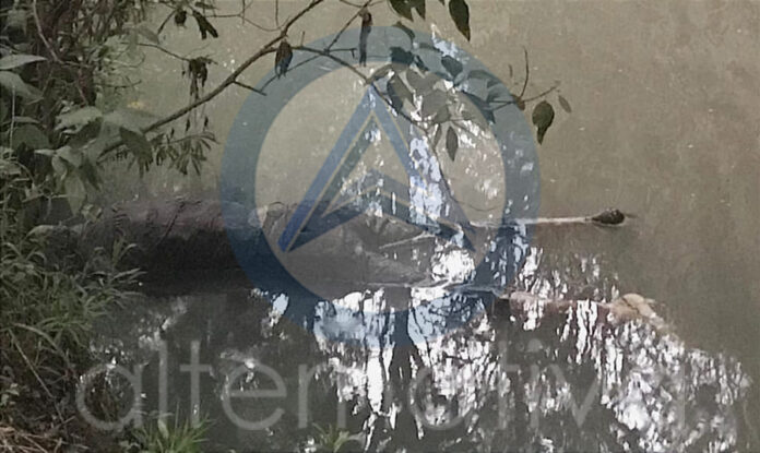 Ubican Cadáver de Hombre en Ixtacuixtla - AlternativaTlx