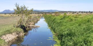 Suman Esfuerzos SMA y el IMTA para Mejorar la Calidad del Agua en Tlaxcala