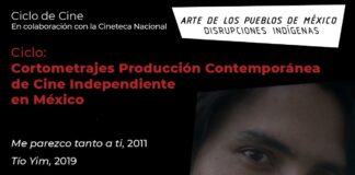 “Arte de los Pueblos de México. Disrupciones Indígenas” Cerrará con un Ciclo de Cine y un Programa Especial