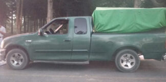 Asegura Policía Estatal Material Forestal - AlternativaTlx