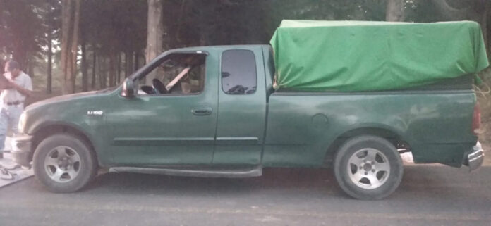 Asegura Policía Estatal Material Forestal - AlternativaTlx