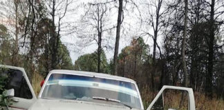 Asegura SSC Material Forestal en la Malinche - AlternativaTlx