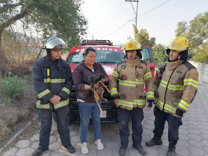 Atiende Bomberos Llamada de Emergencia - AlternativaTlx