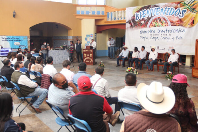 Fomentan Sia y el Ayuntamiento de Hueyotlipan Producción de Alimentos Sanos y Nutritivos - AlternativaTlx