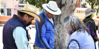Realizará Ayuntamiento de Huamantla Tercer Viernes de Tianguis de Semilla - AlternativaTlx