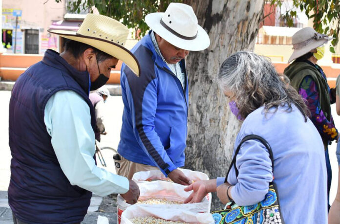 Realizará Ayuntamiento de Huamantla Tercer Viernes de Tianguis de Semilla - AlternativaTlx