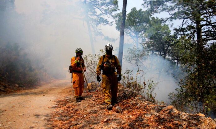 Pide Gobierno de México a Población Seguir Recomendaciones de las Autoridades por Incendio en Santiago, Monterrey