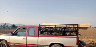 Aseguró SSC Camioneta con Material Forestal en Atlangatepec - AlternativaTlx