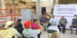 Con Asistencia Técnica y Capacitación se Produce Leche de Calidad: SIA - AlternativaTlx