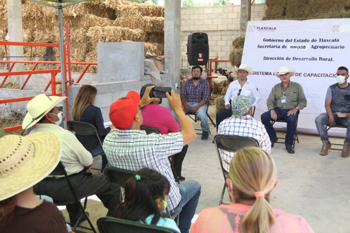 Con Asistencia Técnica y Capacitación se Produce Leche de Calidad: SIA - AlternativaTlx