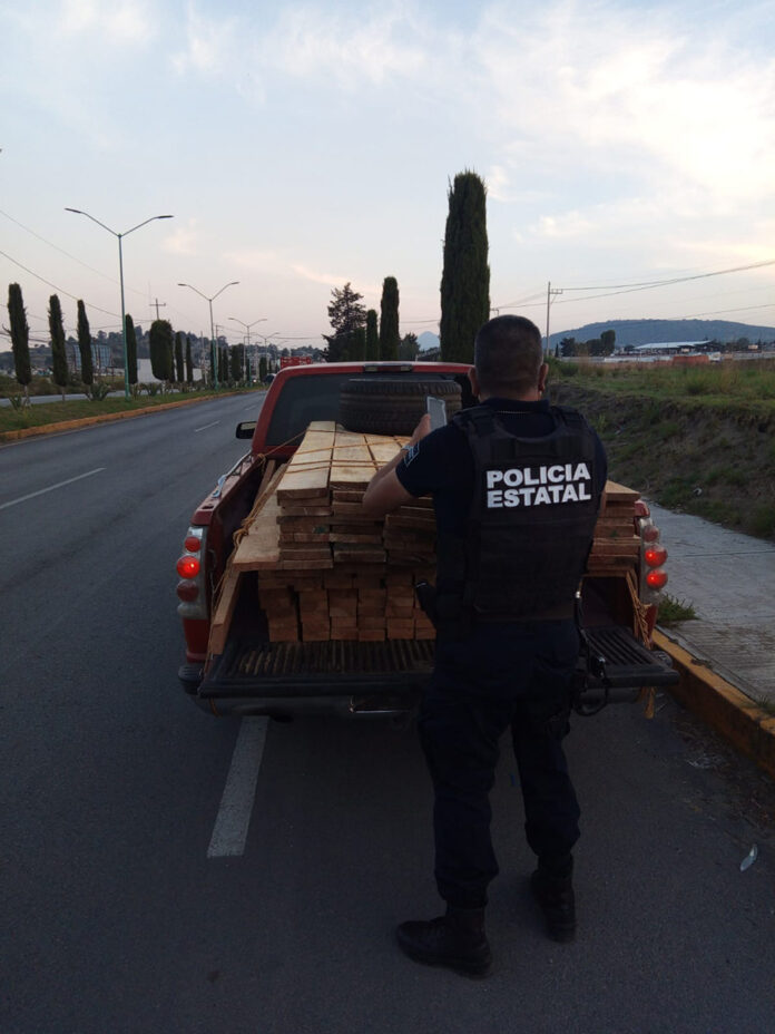 La SSC Asegura Materia Prima Forestal en Huamantla - AlternativaTlx