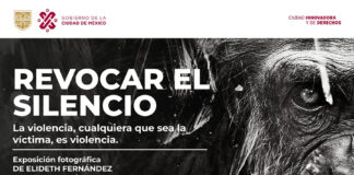Llega al Complejo Cultural Los Pinos la exposición “Revocar el Silencio. La Violencia, Cualquiera que sea la Víctima, es Violencia” - AlternativaTlx
