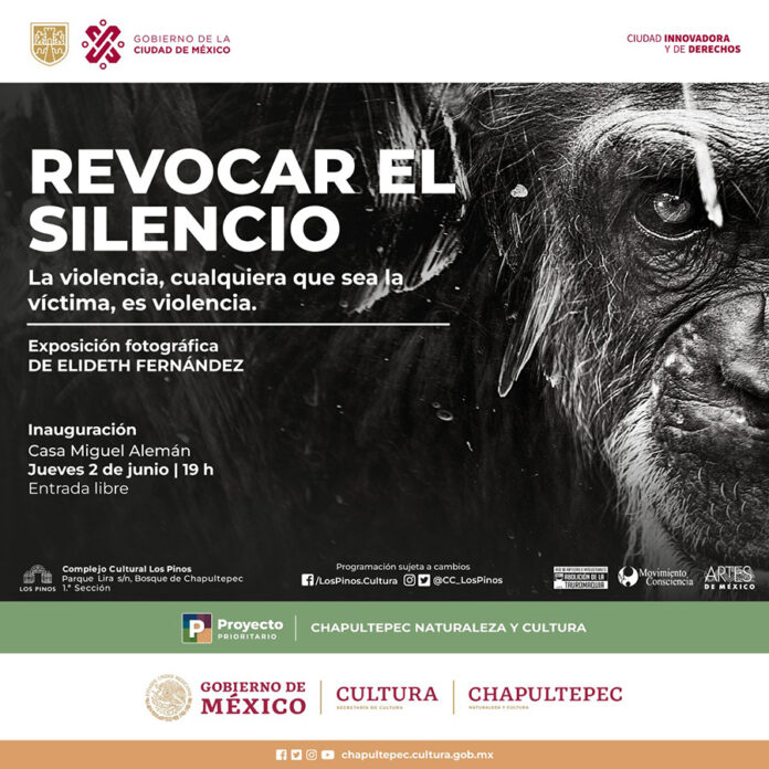 Llega al Complejo Cultural Los Pinos la exposición “Revocar el Silencio. La Violencia, Cualquiera que sea la Víctima, es Violencia” - AlternativaTlx