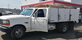 SSC Asegura Materia Prima Forestal en Huamantla - AlternativaTlx