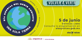 Alas y Raíces Celebra el Día Mundial del Medio Ambiente con Actividades Artísticas para Niñas y Niños - AlternativaTlx