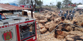 Bomberos Brindó Auxilio para Controlar Incendio en Apizaco - AlternativaTlx