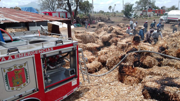 Bomberos Brindó Auxilio para Controlar Incendio en Apizaco - AlternativaTlx