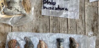 INAH Hallazgo revela las duras condiciones de vida y la resistencia cultural de los mexicas en los albores del virreinato
