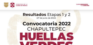 La Secretaría de Cultura Anuncia Resultados de la Segunda Edición de la Convocatoria “Huellas Verdes” - AlternativaTlx
