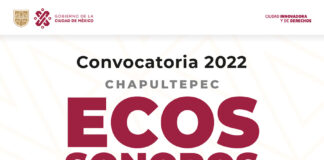 La Secretaría de Cultura invita a Participar en la Convocatoria “Ecos sonoros. Red de Creación” - AlternativaTlx