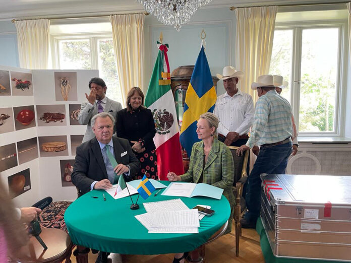 México Recibe del Gobierno de Suecia la Colección “Maaso Koba” (Cabeza de Venado), Piezas Rituales que Serán Restituidas al Pueblo Yaqui - AlternativaTlx